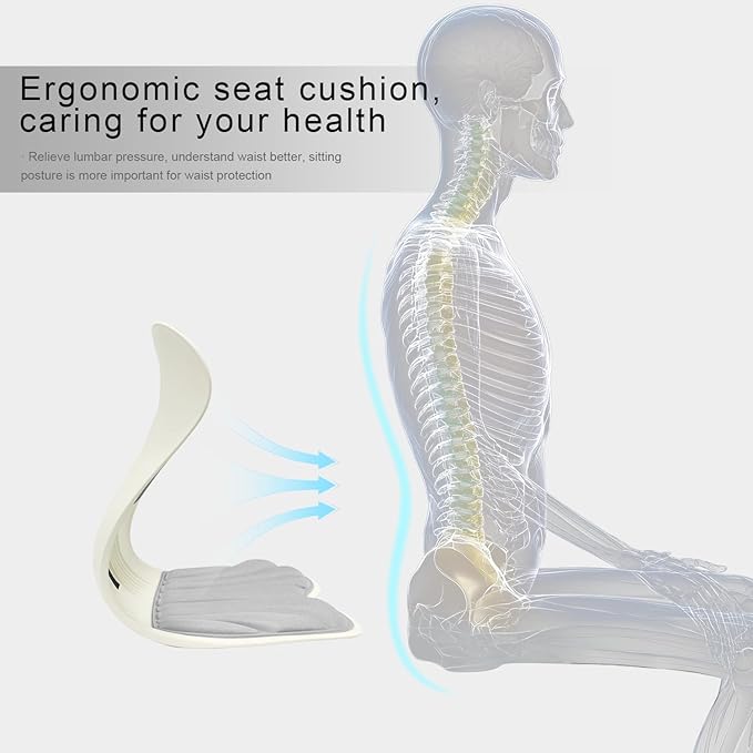 Posture Support Cushion - Lumbar & Back Support for Office Chair, Car Seat, Sofa, Ergonomic Chair & Back Cushion Back Support (03)