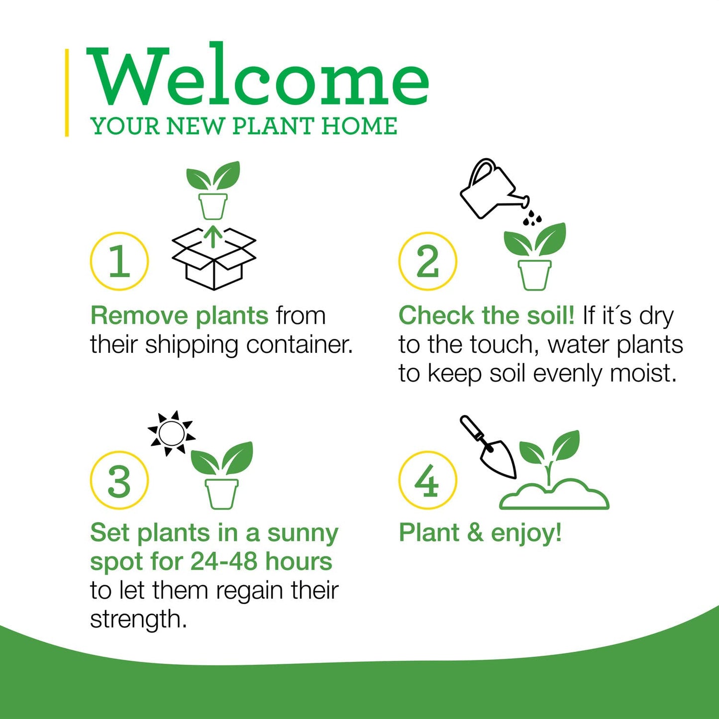 Bonnie Plants Peppermint Live Edible Aromatic Herb Plant - 4 Pack, Pet Friendly, Low Light, Part Shade