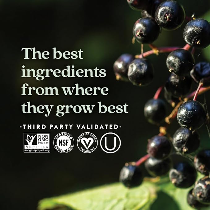 New Chapter Vegan Elderberry Capsules with 64x Concentrated Black Elderberry + Black Currant for Comprehensive Immune Support, Non-GMO Project Verified, Gluten Free, Certified Vegan, 60 Count