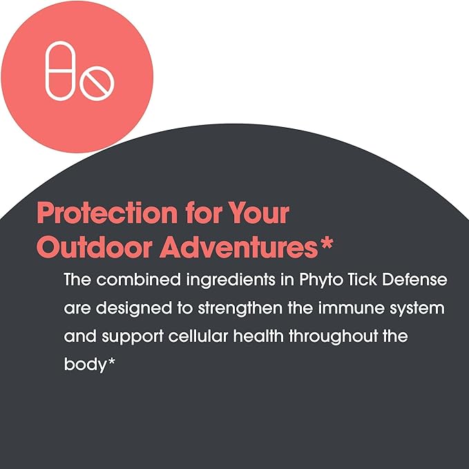 Allergy Research Group Phyto Tick Defense Supplement - Mushroom Complex, Mushroom Extract Powder in Convenient Capsules, Nootropic with Lions Mane, Cordyceps, Beta Glucans - 120 Vegetarian Capsules