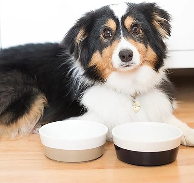 Waggo Dipper Ceramic Dog Bowl for Small and Large Breeds - Heavyweight and Durable Pet Food and Water Dish Crock, Dishwasher Safe, Modern (Vintage Grey, Large)