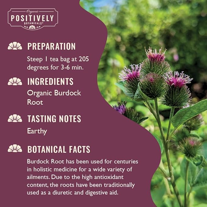 Organic Positively Botanicals Company, Burdock Root Herbal Tea Bags, 20 Count