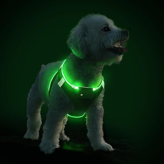 PceoTllar Light Up Dog Harness, LED No Pull Reflective Dog Harness, Flashing Lighted for Night Walking - Small/Medium, (Black Green,m)