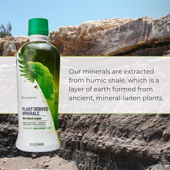 Youngevity Plant Derived Liquid Minerals - 77+ Natural Unaltered Trace Minerals - 19,000mg Plant Mineral Solids - Colloidal Form Humic Shale - (32 oz Pack of 6)