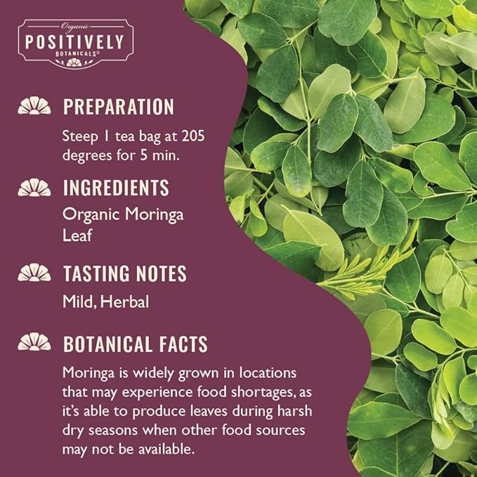 Organic Positively Botanicals Company, Moringa Leaf Herbal Tea Bags, 20 Count