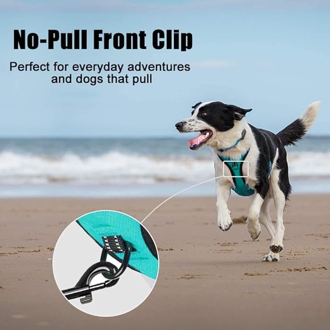 PoyPet No Pull Dog Harness, Reflective Comfortable Vest Harness with Front & Back 2 Leash Attachments and Easy Control Handle Adjustable Soft Padded Pet Vest for Small to Large Dogs (Mint Blue,L)