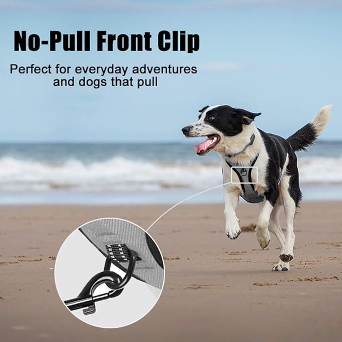 PoyPet No Pull Dog Harness, Reflective Comfortable Vest Harness with Front & Back 2 Leash Attachments and Easy Control Handle Adjustable Soft Padded Pet Vest for Small to Large Dogs (Gray,L)