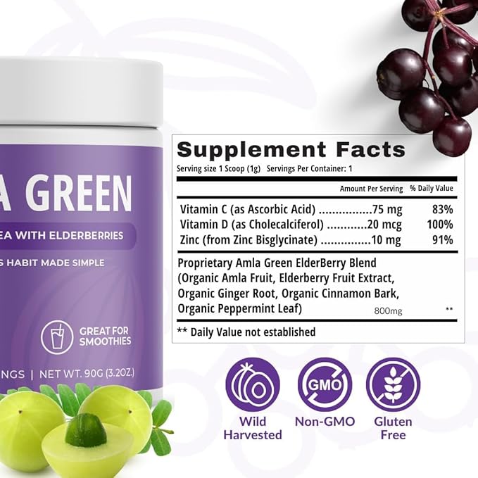 Amla Powder, Green Tea Superfood Supplement with Pumpkin Spice & Hibiscus & Elderberry, Organic, Vegan, 30 Servings