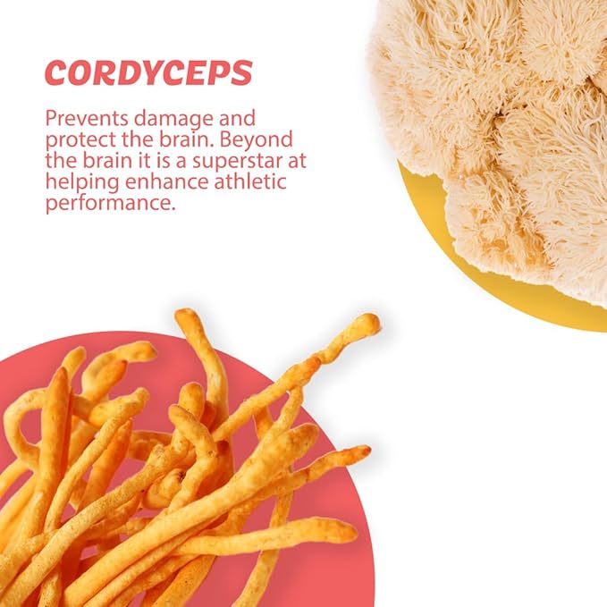 Roots Focus Nootropic Brain Supplement - Strawberry Watermelon & Spicy Pineapple- Lion's Mane, Cordyceps, & Reishi Functional Mushrooms + Extended-Release Caffeine, 100 Servings