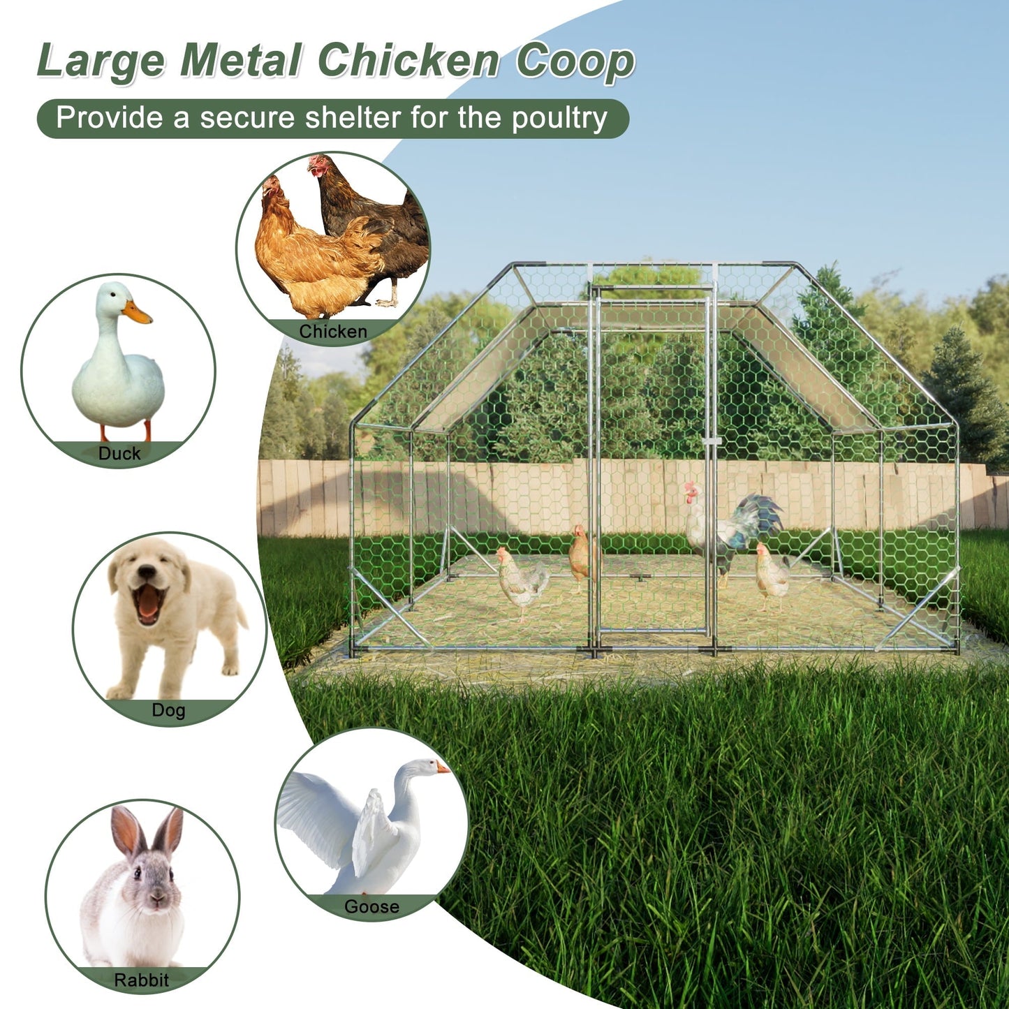 Large Walk in Chicken Coop Cage Farm Poultry Run Hutch Hen House, 10 ft. x 13 ft.