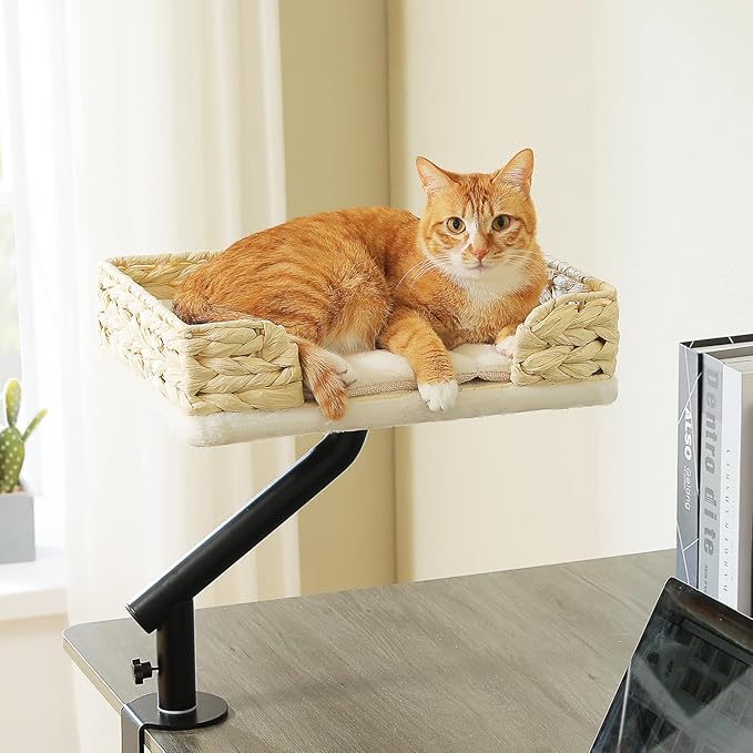 PAWZ Road Cat Desk Bed for Indoor Cats, Wicker Cat Bed for Desk Supports Up to 50 lbs, 360° Rotation & Adjustable Soft Plush Cats Hammock for Desktop, White