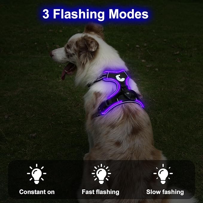 Taglory Light Up Dog Harness, Rechargeable No Pull Dog Vest with 3 Lightning Modes, Reflective Dog Harness with 2 Leash Clips & 4 Adjustable Slide Strips for Large Dogs, Black-Purple, XL