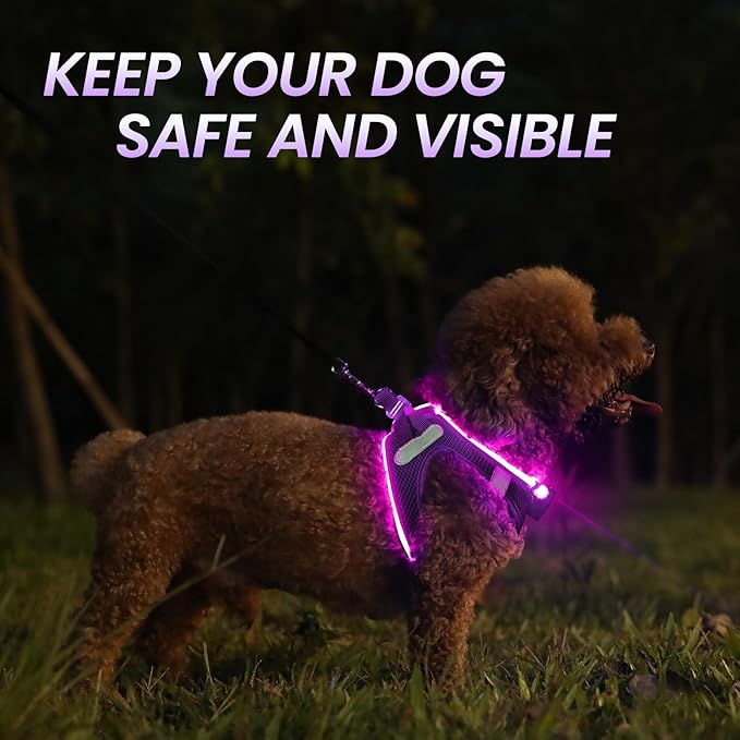 PceoTllar Light Up Dog Harness, LED No Pull Reflective Dog Harness, Flashing Lighted for Night Walking - Small/Medium, (Purple,L)