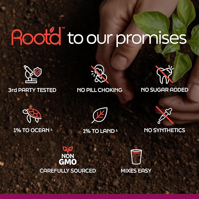 Root'd Multivitamin Powder for Women - 25 Vitamins & Minerals with 3X Electrolytes, 9 Organic Superfoods, Probiotics & Enzymes, Sugar-Free Multivitamin & Hydration | 30 Vitamin Drink Mix Packets