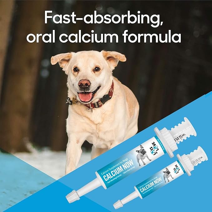 Calcium Now - Oral Calcium for Whelping Dogs - (15 ml Paste, Vanilla) (Pack of 2) - Calcium Supplement for Dog - Breeders Friendly Calcium for Dogs - Lots of Love Pet Products