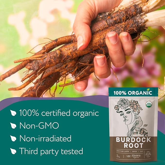 Premium Burdock Root Organic (16 oz.) - Greater Burdock Root Tea Loose - Raíz De Bardana Organica 우엉차 - Bulk Herbal Tea for Liver Cleanse, Body Detox, Digestion