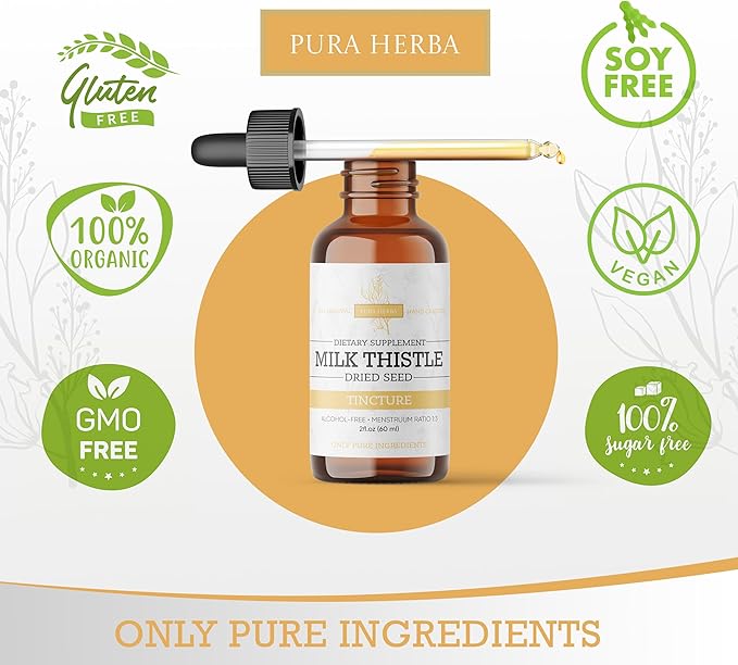 Milk Thistle Liquid Extract – Alcohol-Free Milk Thistle Tincture – Vegan, Non-GMO – Made in USA – 2 fl oz