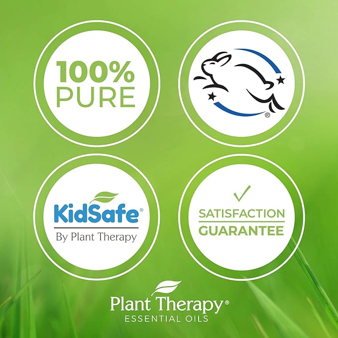 Plant Therapy Egyptian Geranium Essential Oil 100% Pure, Undiluted, Natural Aromatherapy, Therapeutic Grade 30 mL (1 oz)