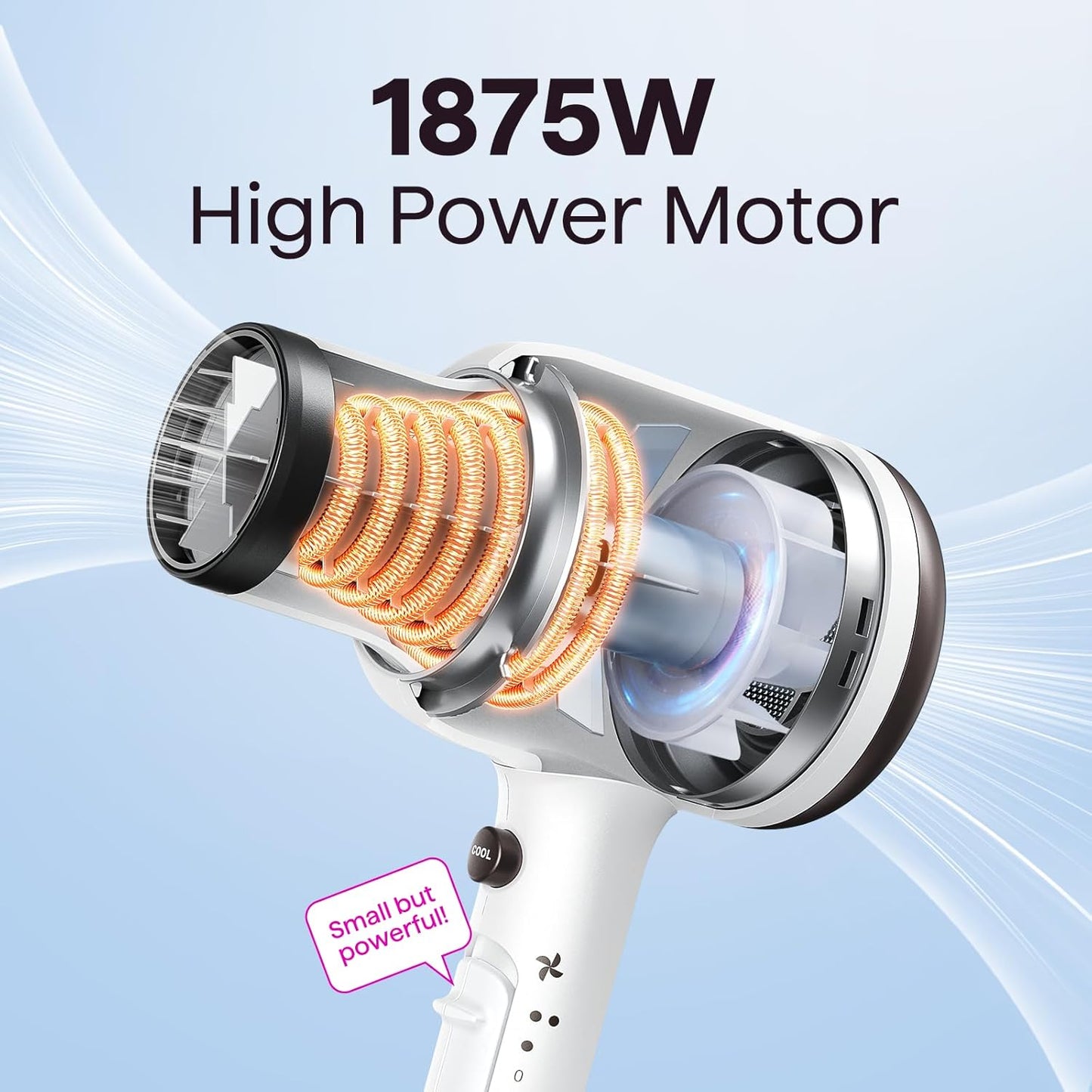 Wavytalk 1875W Ionic Hair Dryer | Diffuser & Comb for Curly Hair | Black