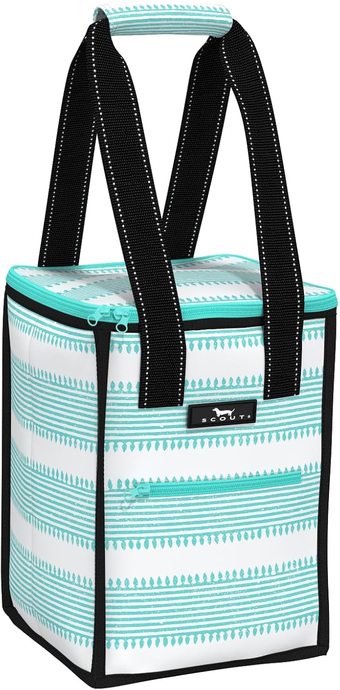 SCOUT Pleasure Chest - Soft, Lightweight, Insulated Cooler, Fits 5 Wine Bottles, Cooler for Beach, Pool, Boat, and Picnics