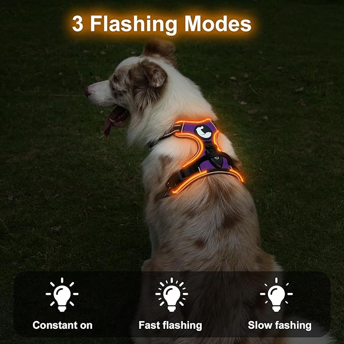 Taglory Light Up Dog Harness, Rechargeable No Pull Dog Vest with 3 Lightning Modes, Reflective Dog Harness with 2 Leash Clips & 4 Adjustable Slide Strips for Medium Dogs, Purple-Orange, M