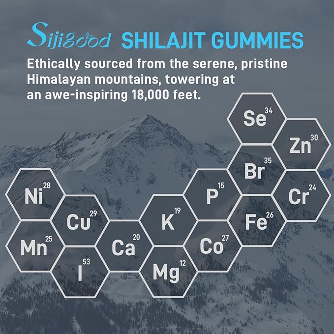 Shilajit Gummies, Shilajit Gummies with 85+ Trace Minerals, Shilajit for Men & Women, Himalayan Shilajit Supplement - 60 Blueberry Flavored Gummies