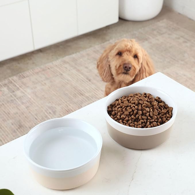 Waggo Dipper Ceramic Dog Bowls - Set of 2 - for Small and Large Breeds - Heavyweight and Durable Pet Food and Water Dish Crock, Dishwasher Safe, Modern (Set of 2, Vintage Grey, Large)