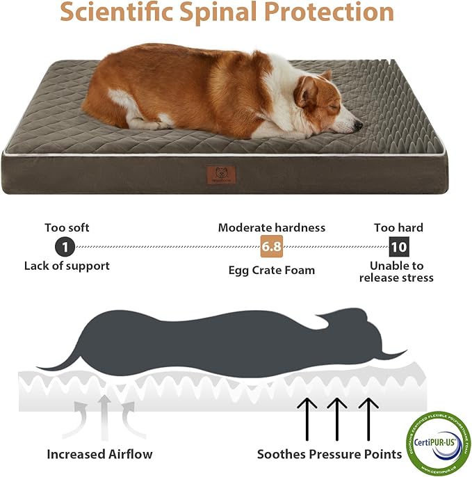 WNPETHOME Orthopedic XL Dog Beds Large Sized Dog, Waterproof Extra Large Dogs Bed with Removable Washable Cover, Multi-Needle Quilting Dogs Crate Bed