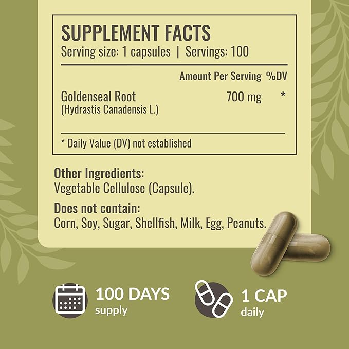 HERBAMAMA Black Elderberry and Goldenseal Kit - Bundle of Elderberry Extract Tincture & 700mg Goldenseal Root Capsules - Vegan, Non-GMO, Sugar & Gelatin-Free - 2 Pack