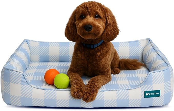 Orthopedic Bolster Dog Bed – CertiPUR-US Foam, Recycled Polyester Canvas, Washable Cover, Anti-Slip Bottom, Small, Light Blue Check – Stylish Designer Dog Sofa