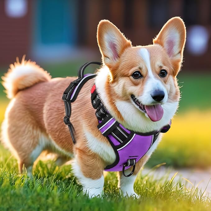 Timos Dog Harness Medium Sized, No Pull with Neck Lockable Snap,No Choke Front Clip Dog Reflective Harness,Adjustable Metal Rings 3 Buckles,Easy Control Handle for Medium Dogs Purple M