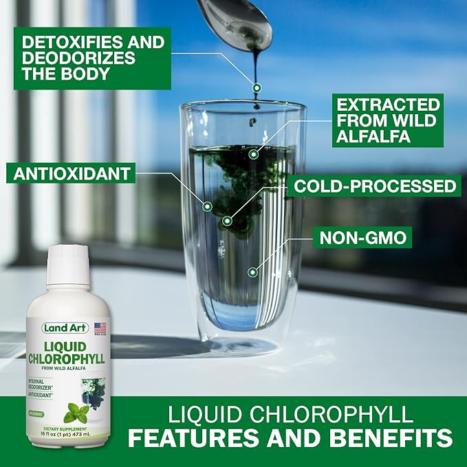 Land Art Aloe Vera Juice - Pomegranate Flavored - Cold Processed - Inner Filet from Organic Fresh Leaves - 64floz + Liquid Chlorophyll Mint Flavored - Cold Extracted from Wild Non-GMO Alfalfa - 16floz