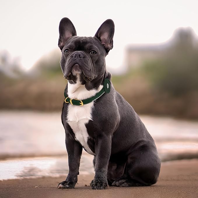 OOPSDOGGY Rolled Leather Dog Collar with Airtag Holder - Reflective Round Airtag Dog Collar - Soft Tracking Pet Collar for Small Dogs Puppy Cats Kitten (Green, M, 12"-15")