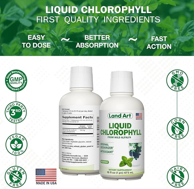 Land Art Aloe Vera Drinkable Gel - Orange Tangerine Flavored - Cold-Processed - Organic Fresh Leaves - 64floz + Liquid Chlorophyll Mint Flavored - Cold Extracted from Wild Non-GMO Alfalfa - 16floz