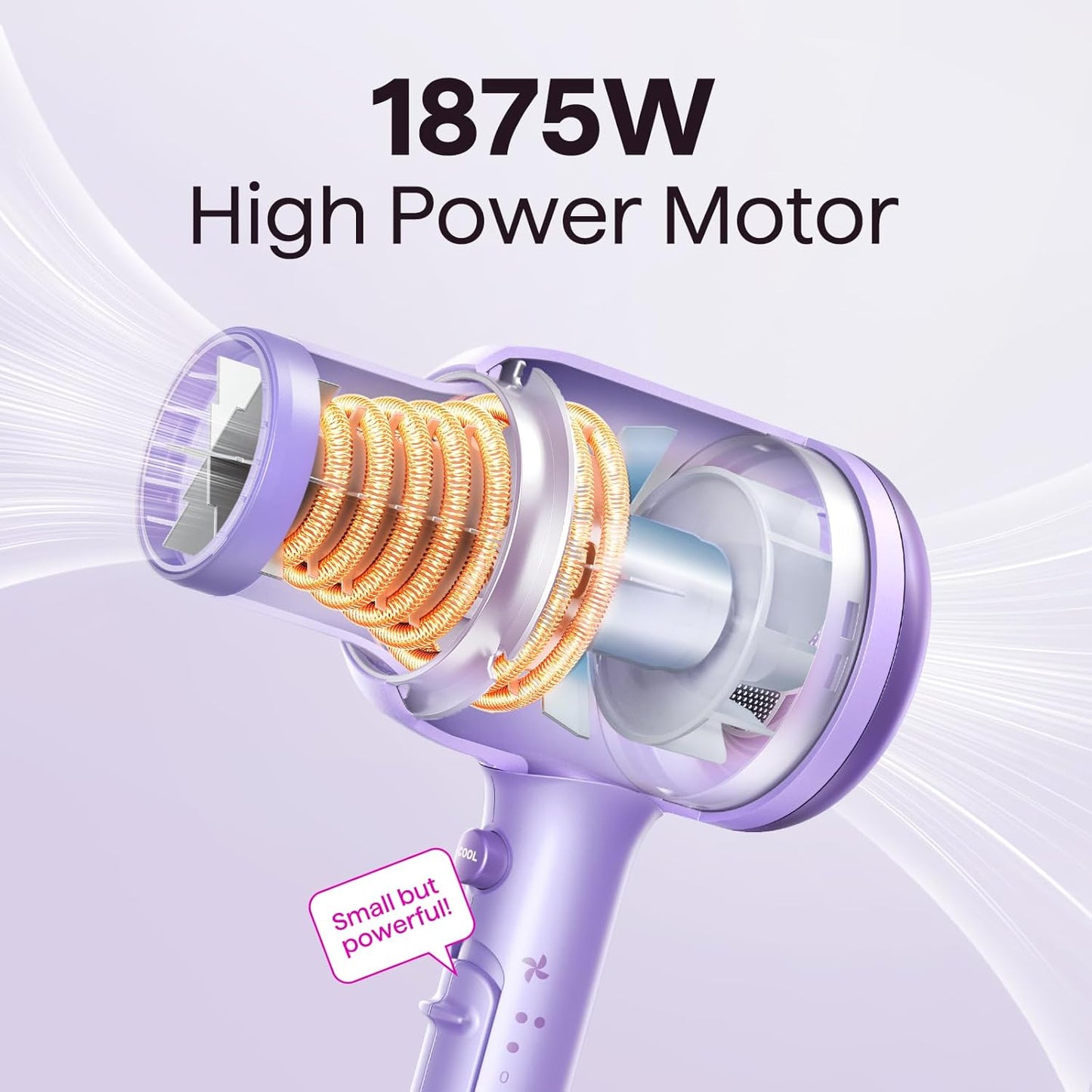 Ionic Hair Dryer for Curly Hair | 1875W Fast Drying | Diffuser & Attachments | Rose Gold