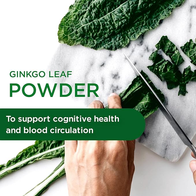 EMERALD LABS Ginkgo Biloba Extract - Brain Health Supplement - Offers Antioxidant & Energy Support - 60 Vegetable Capsules (30-Day Supply)