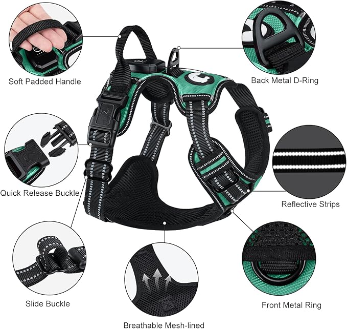Taglory Light Up Dog Harness, Rechargeable No Pull Dog Vest with 3 Lightning Modes, Reflective Dog Harness with 2 Leash Clips & 4 Adjustable Slide Strips for Large Dogs, Turquoise-Green, XL