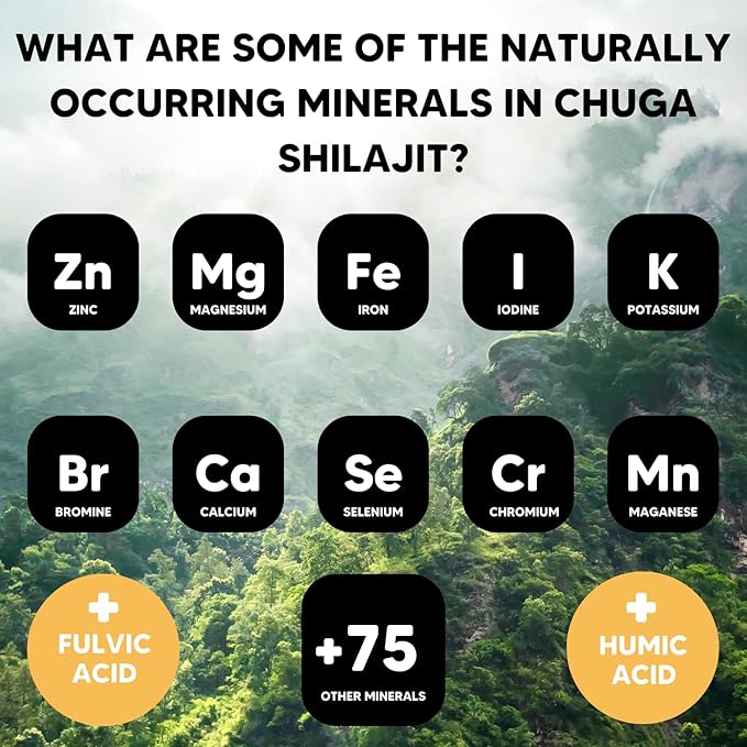 Chuga's Pure Himalayan Shilajit Resin | Naturally Sourced Grade A Shilajit, Organic Shilajit Harvested 16,000 Feet | Lab Tested in USA, 74+ Fulvic Acid | 100 Servings per 20 Gram Jar (Pack of 2)