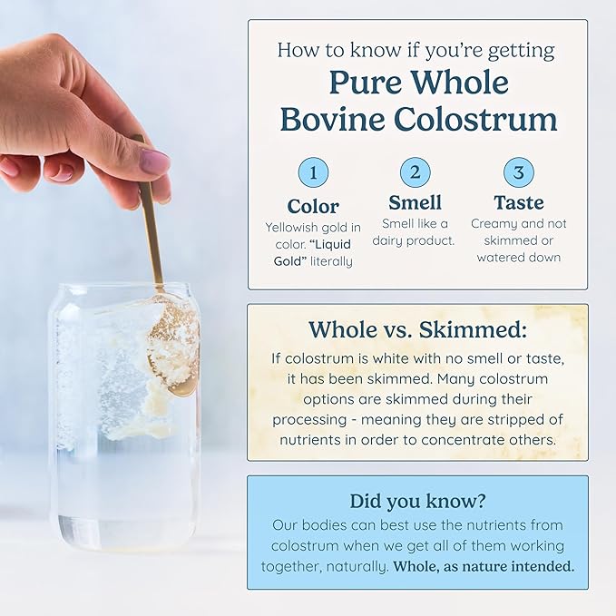 Colostrum Supplement Powder for Gut Health, Immune Support, Muscle Recovery & Wellness | Natural IgG Pure Whole Bovine Colostrum Superfood, Unflavored, 60 Servings
