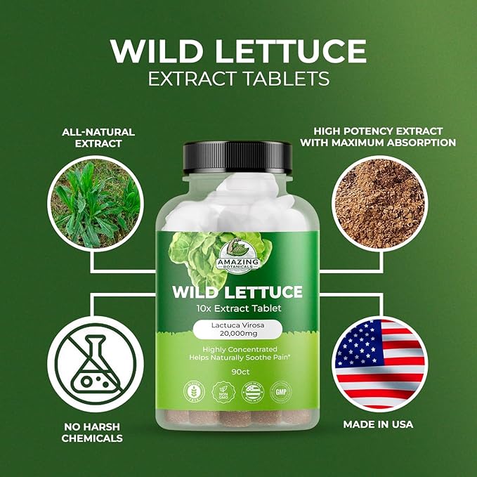 Wild Lettuce Extract Tablets 10X (90 Tablets) 2,000MG Each | Lactuca Virosa | Sleep Support | Helps Naturally Soothe Pain - 90 Count