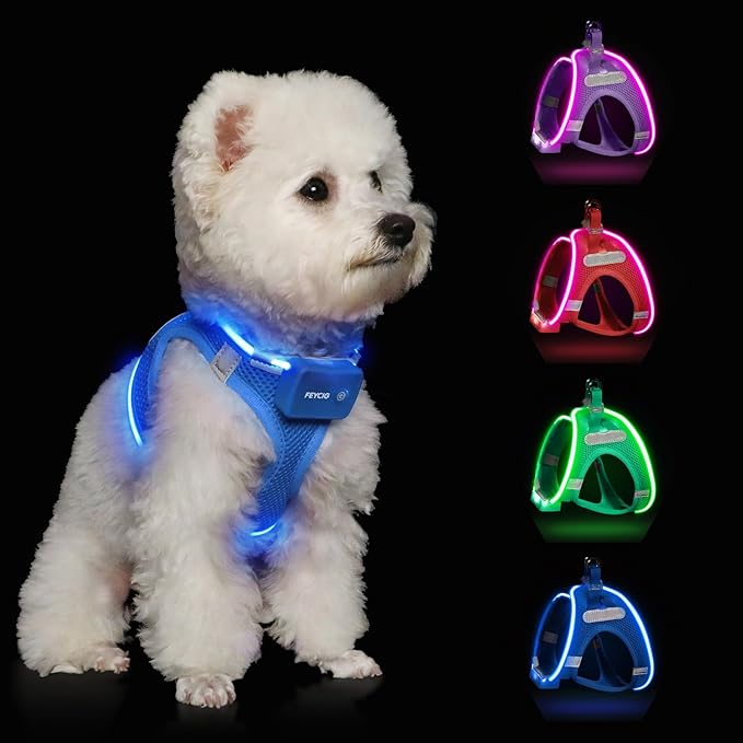 Light Up Dog Harness,Rechargeable LED Dog Harness for Small Medium Large Dogs,Reflective Lighted Safety Vest for Night Walking & Camping,Lightweight & Adjustable,Sky Blue,M