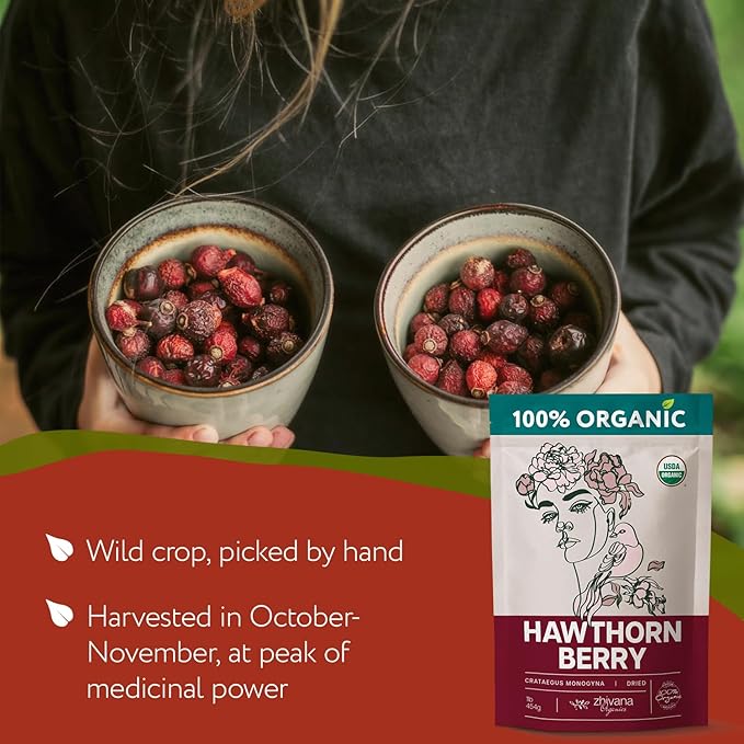 Extra Large 2lb Bag - Hawthorn Berry Tea Organic - Dried Hawthorn Berries Whole - Hawthorne Tea - Healthy Blood Pressure, Heart Health, Immune Support