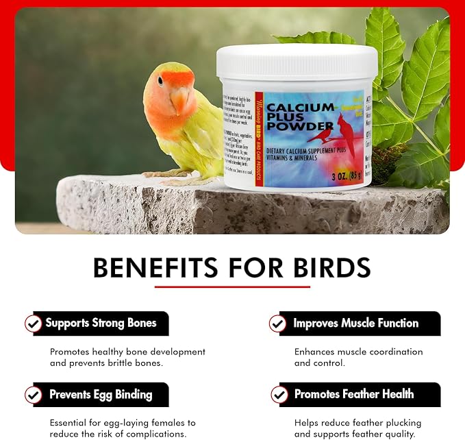 Morning Bird Calcium Plus Powder for Birds 3 oz – Calcium Carbonate Powder with Magnesium Glycinate & Vitamin D – Bone Strength & Immune Support Supplement – Calcium Formula for All Bird Sizes