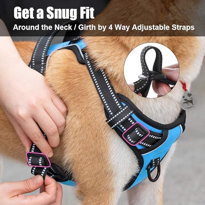 PoyPet No Pull Dog Harness, Reflective Comfortable Vest Harness with Front & Back 2 Leash Attachments and Easy Control Handle Adjustable Soft Padded Pet Vest for Small to Large Dogs (Blue,L)