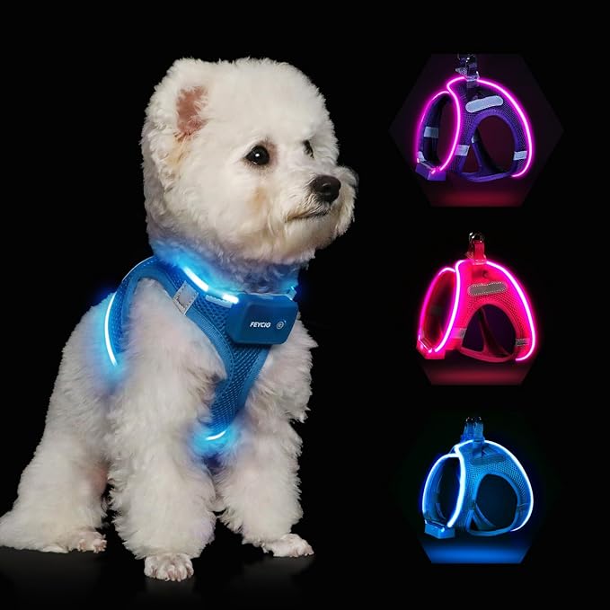 Light Up Dog Harness,Rechargeable LED Dog Harness for Small Medium Large Dogs,Reflective Lighted Safety Vest for Night Walking & Camping,Lightweight & Adjustable,Blue,L