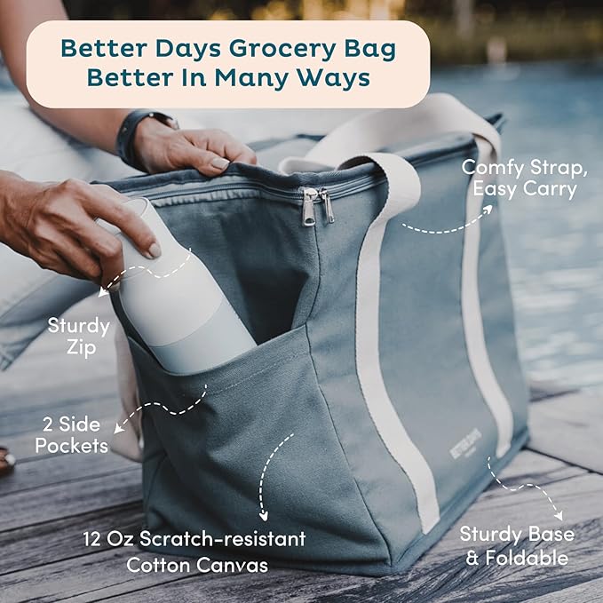 Nook Theory Reusable Insulated Grocery Bag - Leak Proof, X Large Cooler Bag - Insulated Shopping Bags for Groceries - Travel Cooler Bag for Frozen and Hot Food with Zippered Top (Sage)