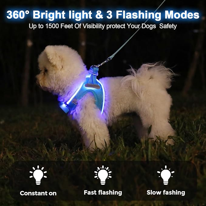 Light Up Dog Harness,Rechargeable LED Dog Harness for Small Medium Large Dogs,Reflective Lighted Safety Vest for Night Walking & Camping,Lightweight & Adjustable,Blue,S