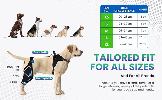 Petpanm- Adjustable Dog Knee Brace- Right Hind Leg with Integreted Harness- Premium Support for Torn ACL, Sprains & Strains Recovery, Enhances Mobility, Comfortable Neoprene. (Medium)