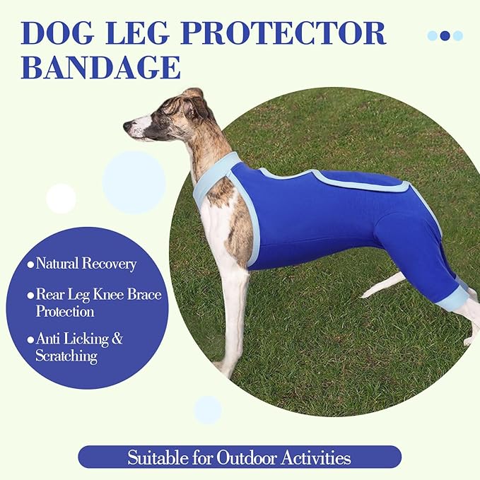 ROZKITCH Dog Surgery Leg Sleeve Rear Legs, Male Female Pet Prevent Licking Wound Elbow Knee Protector, Dog Recovery Suit Cone Collar Alternative Pants Shirt for Wound Heal Wrap Blue L