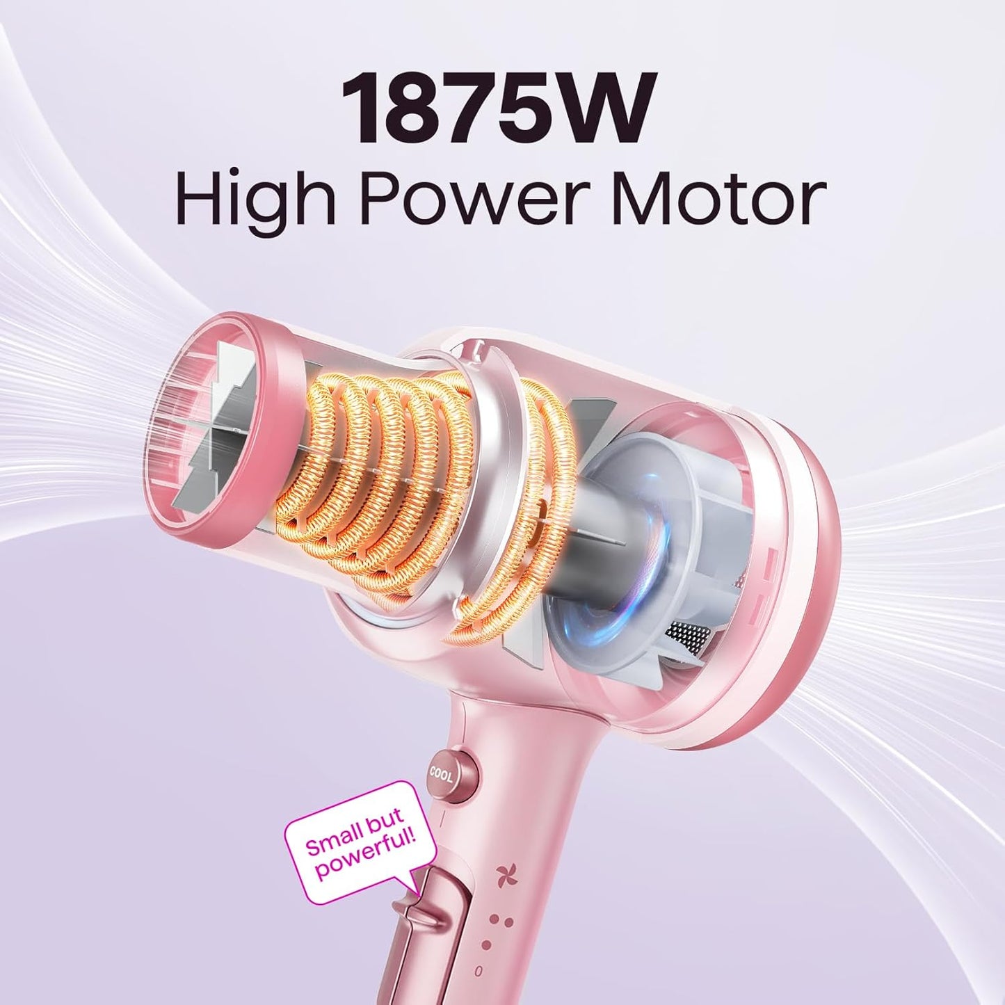 Wavytalk 1875W Ionic Hair Dryer | Diffuser & Comb for Curly Hair | Black